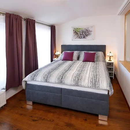 Violet 3* Karlovy Vary