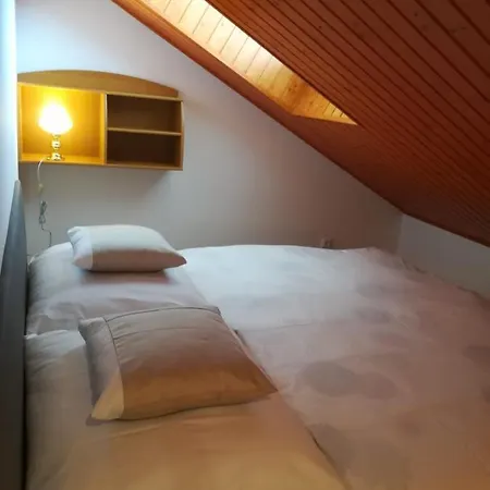 Violet Bed & Breakfast
